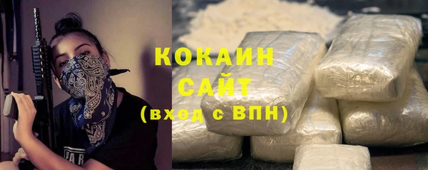 хмурый Абаза
