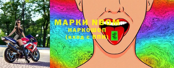 хмурый Абаза
