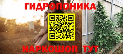 винт Обь